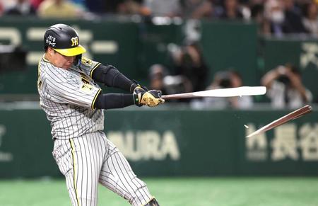 　４回、バットを折りながらも中前打を放つ大山（撮影・金田祐二）