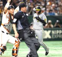 　４回、坂本のスクイズで本塁へ向かう大山だが…（撮影・金田祐二）