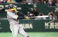 　４回、バットを折りながらも中前打を放つ大山（撮影・金田祐二）