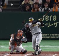 　４回、バットを折られながらも中前打を放つ大山（撮影・中田匡峻）