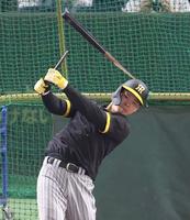 　打撃練習でバットが折れる佐藤輝（撮影・中田匡峻）