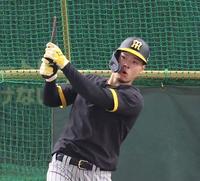 　打撃練習でバットが折れ驚く佐藤輝（撮影・中田匡峻）