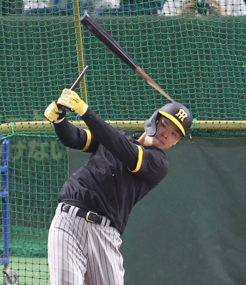 　打撃練習でバットが折れる佐藤輝（撮影・中田匡峻）