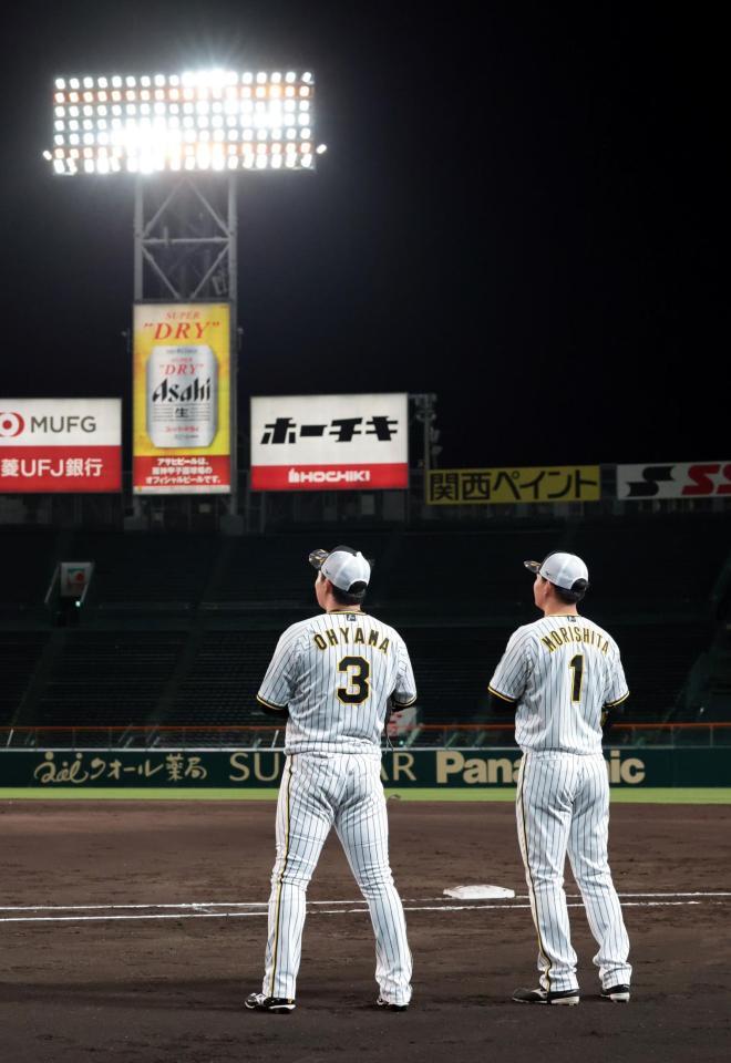 　ナイター練習でノックの打球を見上げる大山（左）と森下（撮影・山口登）