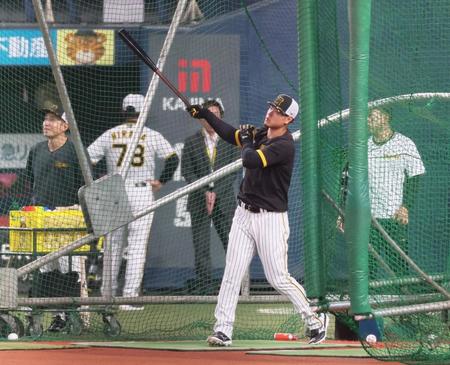 　早出特打をする阪神・佐藤輝（撮影・立川洋一郎）