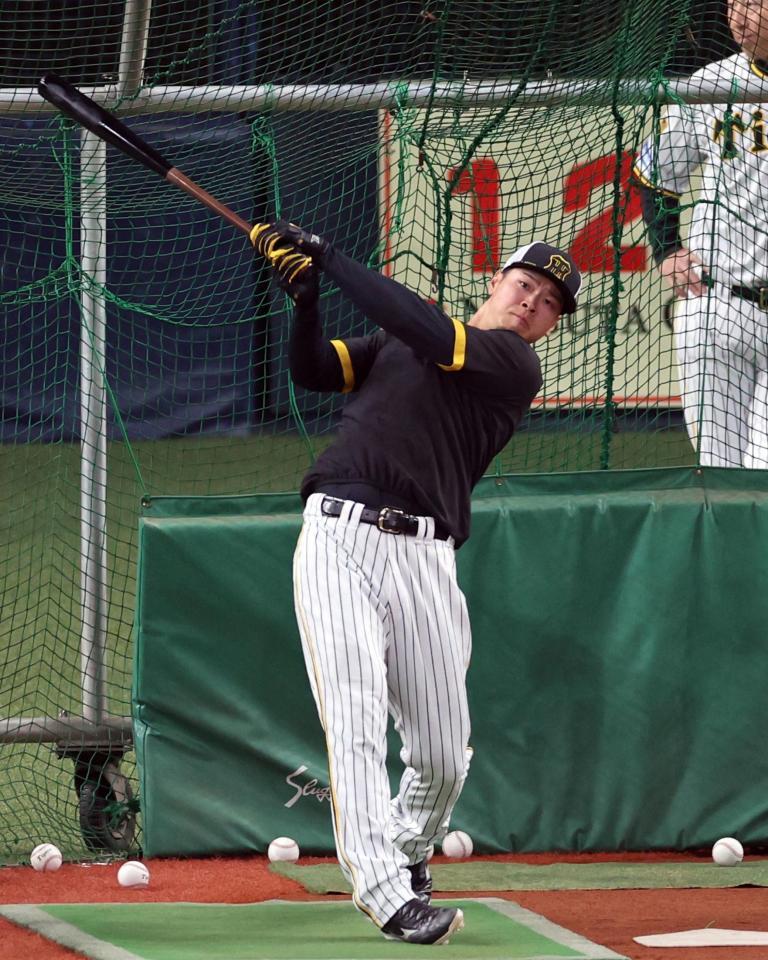 　早出で打撃練習する阪神・佐藤輝（撮影・山口登）