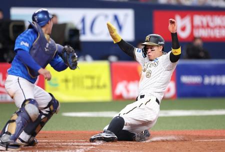 　４回、木浪の一ゴロで生還する三走の佐藤輝。左は捕手の松尾（撮影・中田匡峻）