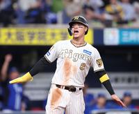 　４回、木浪の一ゴロで生還する三走の佐藤輝（撮影・中田匡峻）