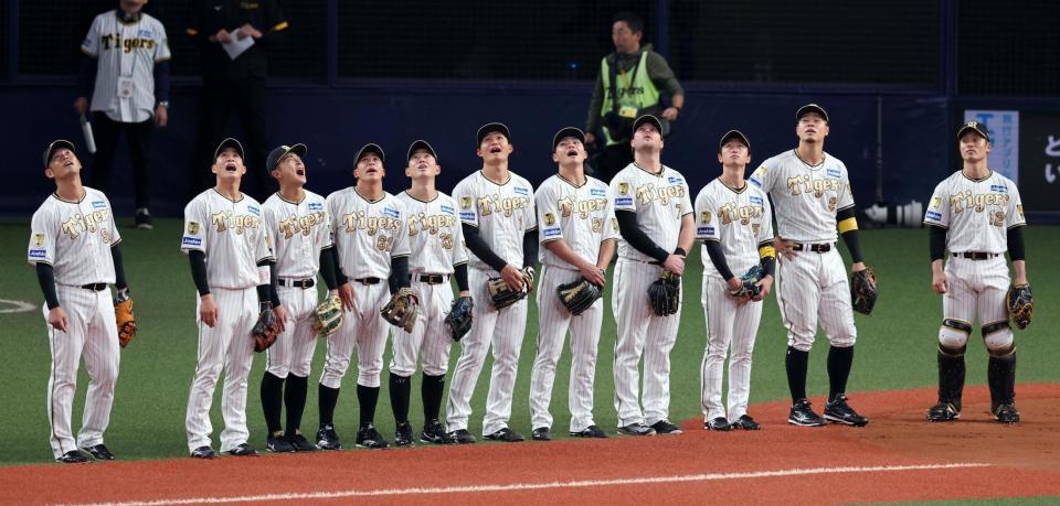 　試合前のシートノックの打球を見上げる阪神ナイン（撮影・山口登）