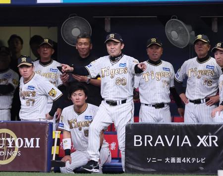 　４回、木浪の一ゴロで本塁へ突入した三走・佐藤輝がアウトの判定。すかさずリプレイ検証を求める岡田監督（撮影・立川洋一郎）