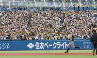 　７回、佐藤輝の勝ち越し２ランに盛り上がる阪神ファン（撮影・金田祐二）