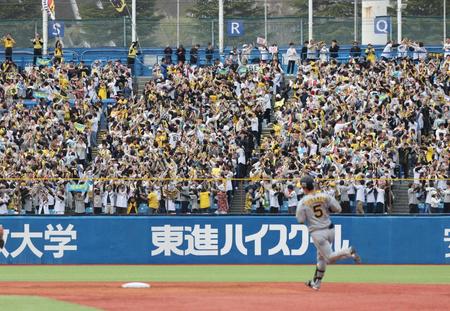 　４回、近本のソロに盛り上がる阪神ファン（撮影・金田祐二）