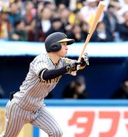 　４回、２号ソロを放つ近本（撮影・金田祐二）