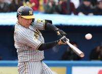 　４回、右前に同点適時打を放つ大山（撮影・金田祐二）