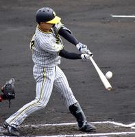 　２戦連続で先制適時打を放つ活躍を見せた戸井（撮影・山村菜々子）