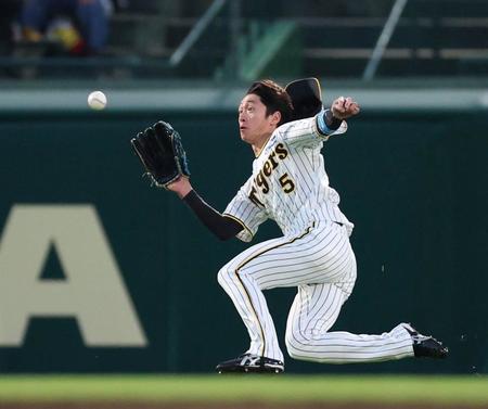 【写真】やっべ！近本が超ファインプレーもまさかのアクシデント　右膝が芝生に引っかかり苦悶の表情