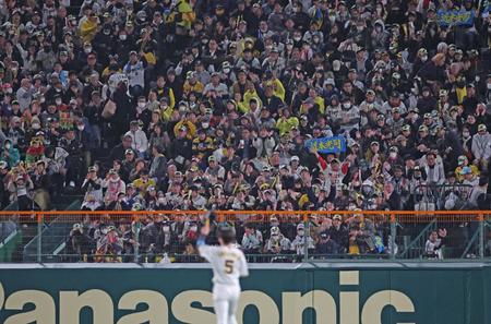 　５回に先制適時打を放った近本（下）はファンからの大声援を受ける（撮影・中田匡峻）