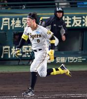 　４回、佐藤輝は三塁内野安打でヘルメットを飛ばし一塁へ駆け込む（撮影・山口登）