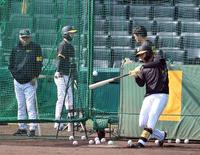 　打撃練習する森下。左は岡田監督（撮影・山口登）