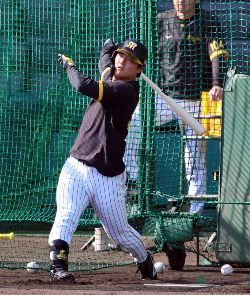 　打撃練習する前川（撮影・山口登）