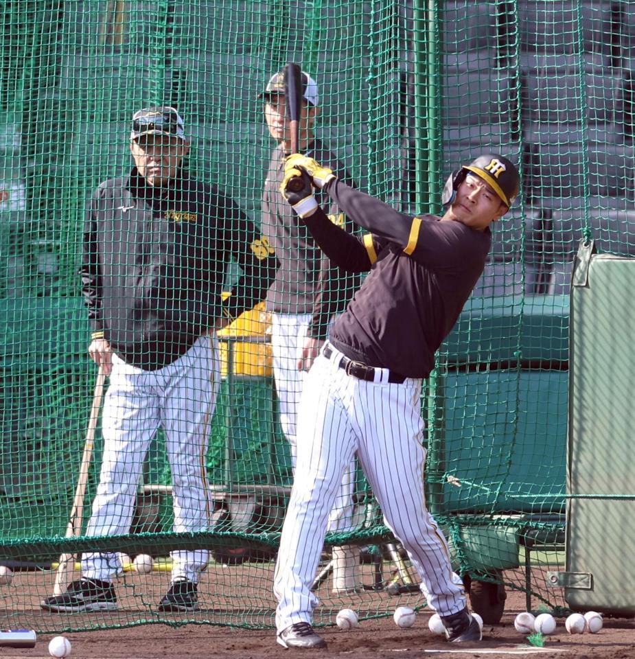 　打撃練習する佐藤輝。左は岡田監督（撮影・山口登）