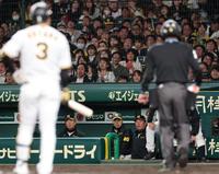 　６回、大山が見逃し三振に倒れ、ベンチで険しい表情を浮かべる岡田監督ら首脳陣（撮影・田中太一）