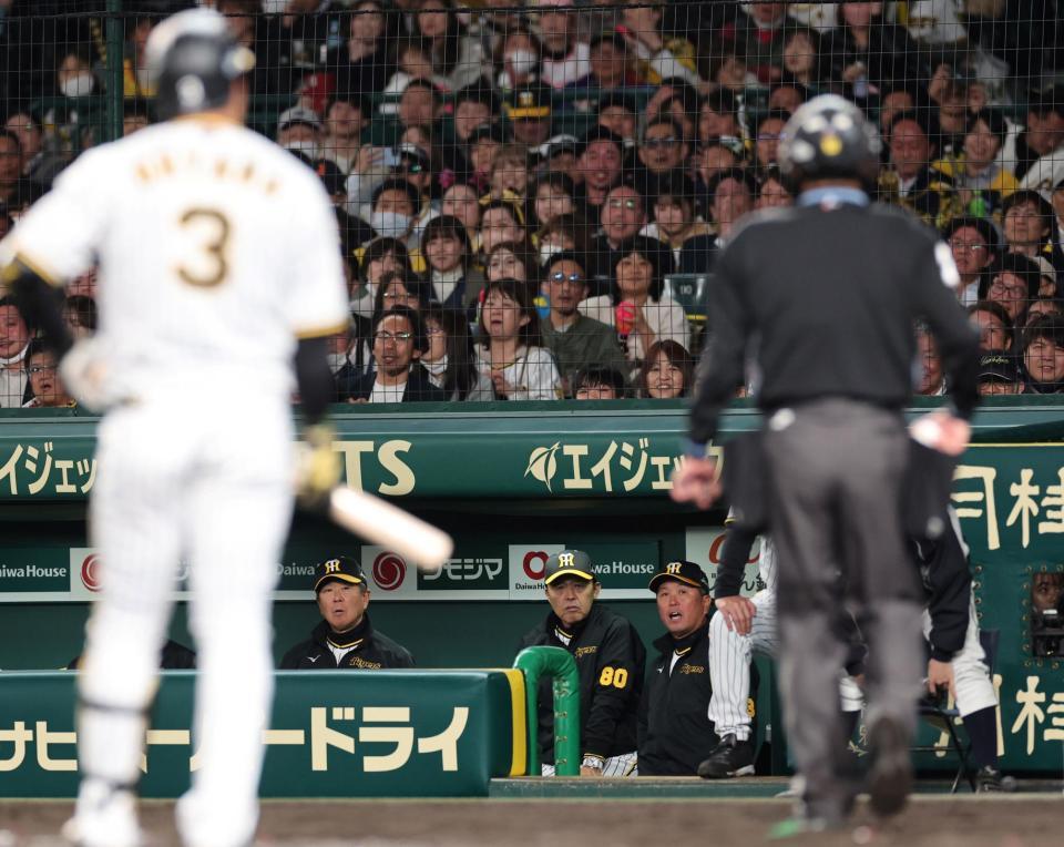 　６回、大山が見逃し三振に倒れ、ベンチで険しい表情を浮かべる岡田監督ら首脳陣（撮影・田中太一）