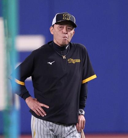 　練習を見る岡田監督（撮影・田中太一）