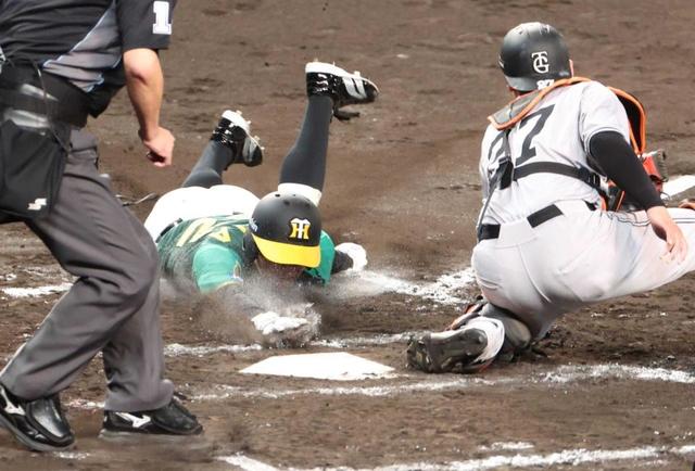 阪神・植田が“神走塁”連発！ 脇役光った執念ドロー 糸原「植田が