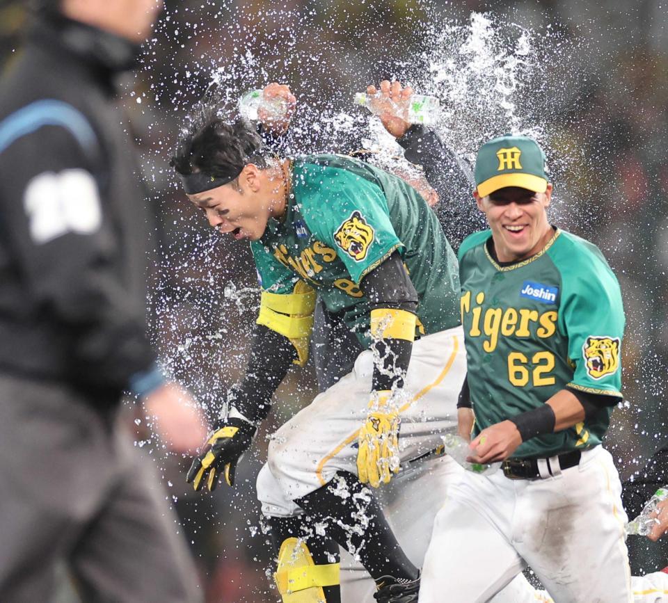 　サヨナラ打を放った佐藤輝はナインから手荒い祝福を受ける（撮影・田中太一）