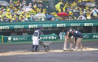 　グラウンド整備をベンチで待つ阪神ナイン（撮影・山口登）