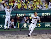 　６回、右越えに先制３ランを放つ佐藤輝（左奥は、両手を挙げて喜ぶ才木）＝撮影・山口登