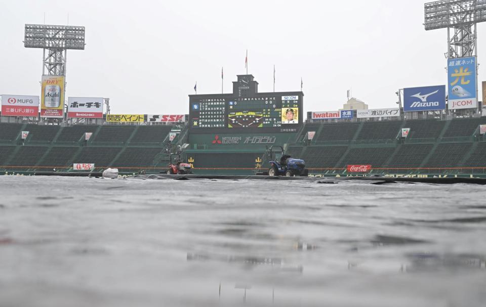 　シートの敷かれた甲子園球場（撮影・石井剣太郎）