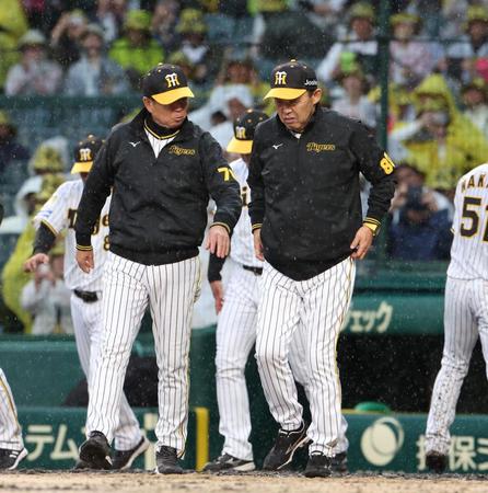 　中日に勝利し、雨の中あいさつに向かう岡田監督（右）と平田ヘッドコーチ（撮影・中田匡峻）