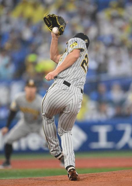 夢グローブライナーバック