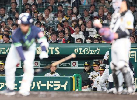 　４回、小川に押し出し四球を与え、ベンチで表情を険しくする岡田監督（奥中央）＝撮影・立川洋一郎