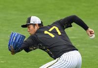 　キャッチボールする青柳（撮影・山口登）