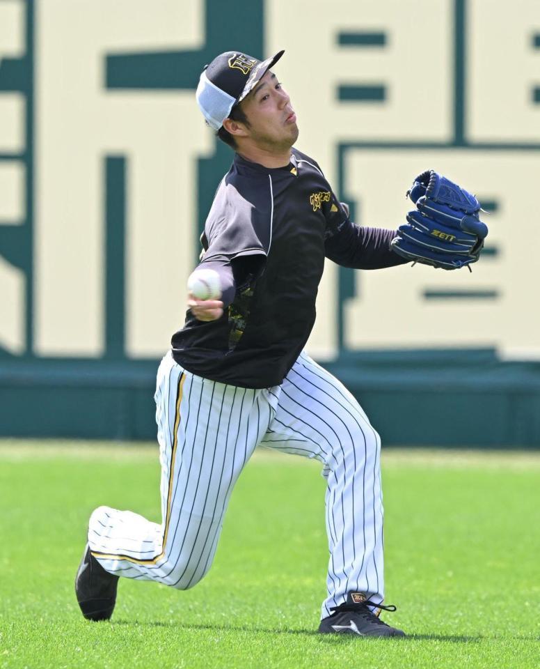 　キャッチボールする青柳（撮影・石井剣太郎）