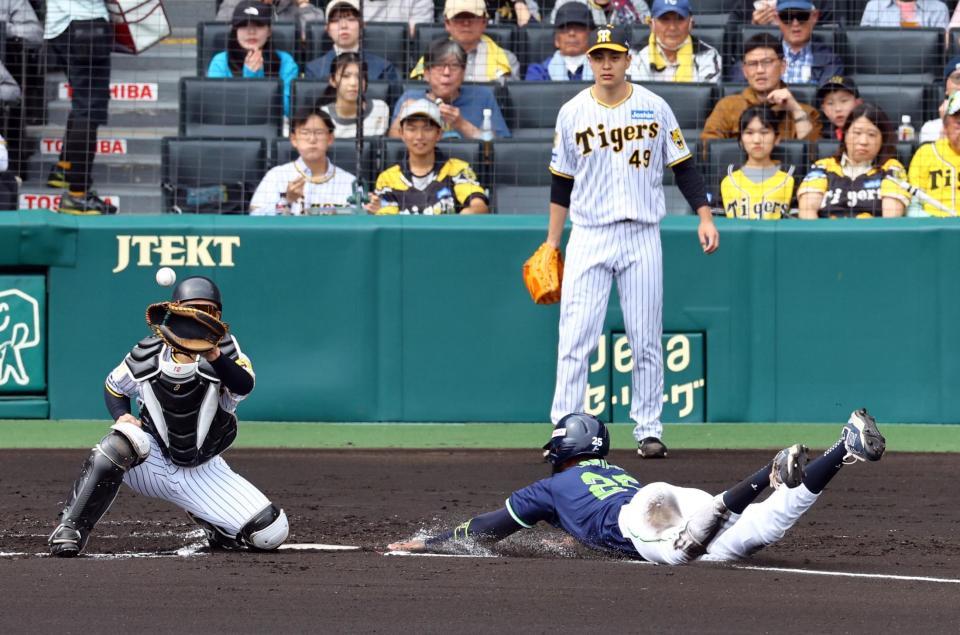 　２回、山田の中犠飛でサンタナが生還する（撮影・山口登）