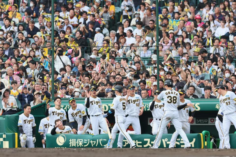 　５回、逆転２ランを放った近本（５）を迎えて沸き立つ阪神ベンチ（撮影・立川洋一郎）