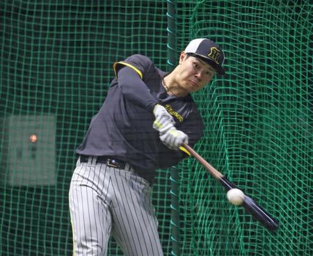 　フリー打撃で打ち込む佐藤輝（撮影・立川洋一郎）