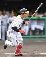 将来有望‼️阪神　中川選手実使用バット 非凡な打撃を生かすため外野挑戦中の阪神・中川勇斗、2点二塁打