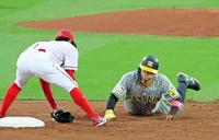 　２回、けん制で帰塁できずタッチアウトになる二走・佐藤輝（撮影・立川洋一郎）