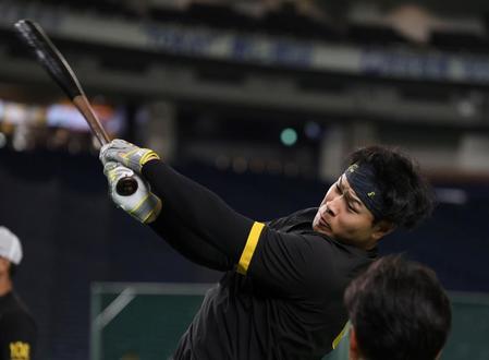 　打撃練習をする佐藤輝（撮影・中田匡峻）