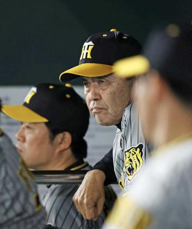 　８回、ベンチから戦況を見守る岡田監督