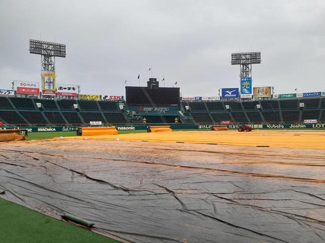 阪神－広島は天候不良のため中止 連敗止めた阪神は大竹、広島はハッチが先発予定も/阪神タイガース/デイリースポーツ online