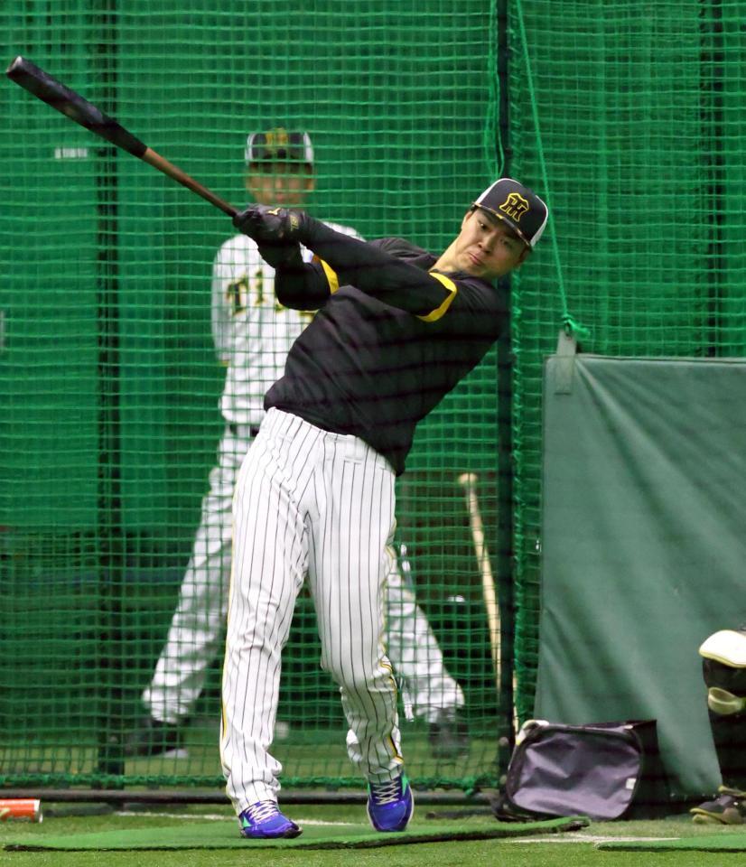 　打撃練習する佐藤輝（撮影・山口登）