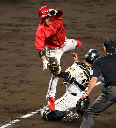 阪神・坂本がヒヤリ　本塁突入の広島・二俣と激しく交錯するシーン　甲子園が悲鳴に包まれるもプレー続行