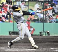 　８回、右前打を放った井上