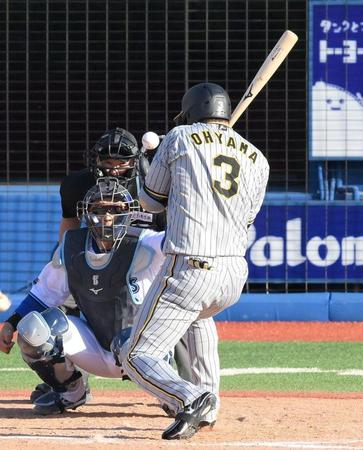 　８回、肩口に死球を受ける大山（撮影・伊藤笙子）